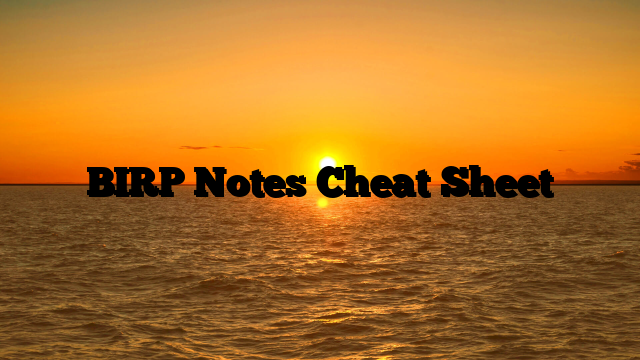 BIRP Notes Cheat Sheet