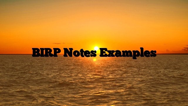 BIRP Notes Examples