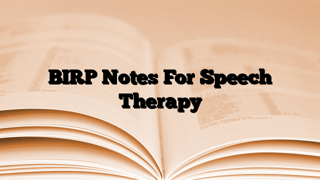 BIRP Notes For Speech Therapy